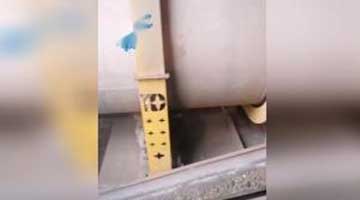 重慶理文造紙廢渣烘干減量無害化烘干生產線