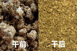 發酵料歐式烘干機